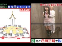 日本综艺让人上瘾，怎么才能看日本的综艺呢？