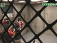 全方位展示:日本综艺节目中女主持人的职业魅力