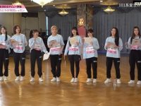 《produce101》日本版:101位练习生见证梦想成真的舞台