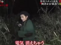 《世界恐怖之夜》盘点惊悚事件,勇敢者于沉寂中寻找机会