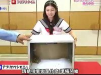 参加《偶像的穴》挑战，谁才是最有料的偶像呢？