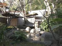 再去温泉吧:寻找日本最赞秘汤