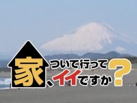 《可以跟着去你家吗》日本综艺百度网盘，与日本人一起寻找生活的真正意义