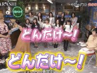 超级萌!这些以动物为主题的日本真人秀节目叫啥?看完一定会爱上小动物