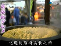 日本综艺大全在线观看集结，实现你的综艺狂热