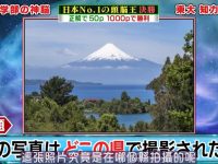 百科知识,逻辑思考,记忆力,头脑王精英选手的多重挑战等你来战