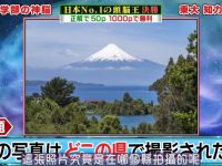 决胜历届头脑王:看看谁将成为下一个知识王者