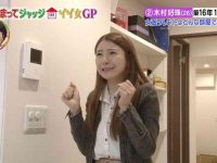 飞跃想象:深入了解日本综艺家庭游戏的奇妙游戏世界