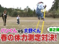 日本电视节目直播回放的多种观看方式,哪种更适合你?