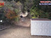 全日本都在看的整人综艺《整人大赏》百度云最全资源汇总