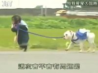 《狗狗猩猩大冒险》最新一期在哪看?值得收藏