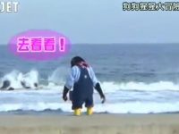 《猩猩狗狗大冒险》:小庞奋力攀爬障碍,连詹姆斯也忍不住加速挑战