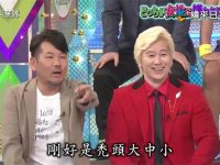 日本综艺节目家族对抗赛是哪个?全面分析综艺盛宴