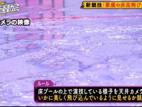 超级运动员不敢挑战的选手汇聚一堂!非凡表现等你来证明!《真夜中的运动会》原版