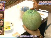 矛与盾的较量,十分钟决定胜负的《世界矛盾大对决》