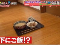 小白必看:怎么能正确地看日本电视节目?